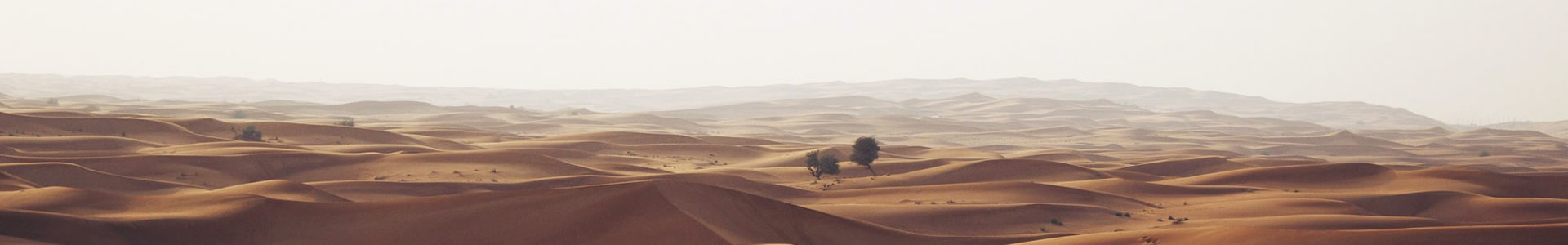 ݻۺ޹˾